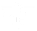 logo surftrips